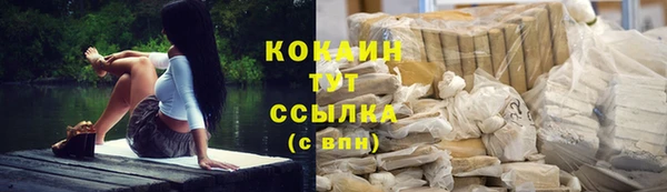 хмурый Аркадак