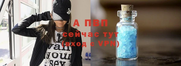 PSILOCYBIN Баксан