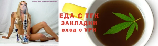 хмурый Аркадак