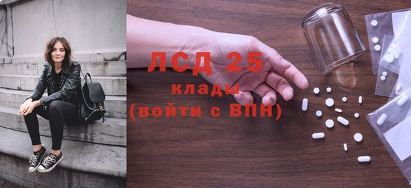 хмурый Аркадак
