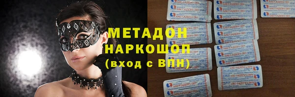хмурый Аркадак
