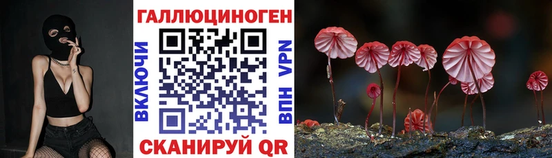 Псилоцибиновые грибы Cubensis Ельня